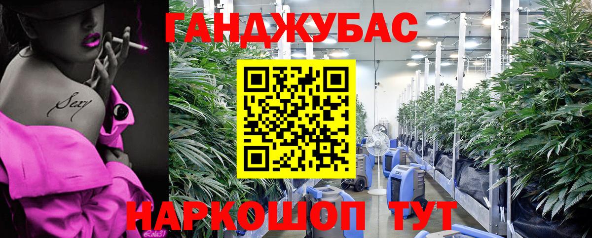 Кингисепп  МАРИХУАНА OG Kush  Бошки марихуана конопля  Вход с VPN 